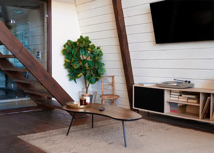 Basement Areas